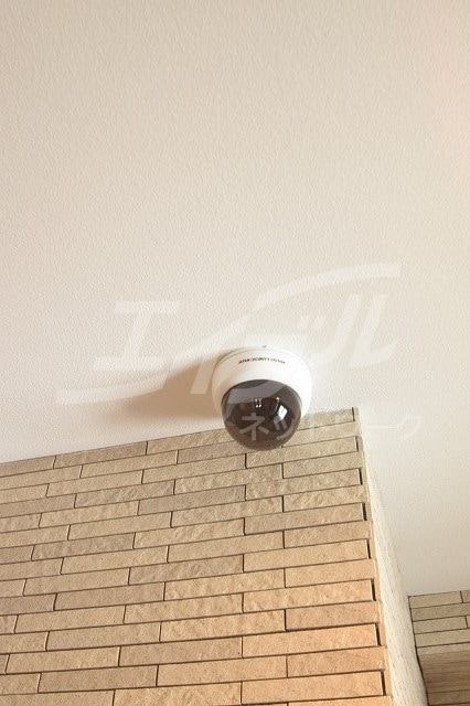 SURF　ISLAND　SAN　SEBASTIANの物件外観写真