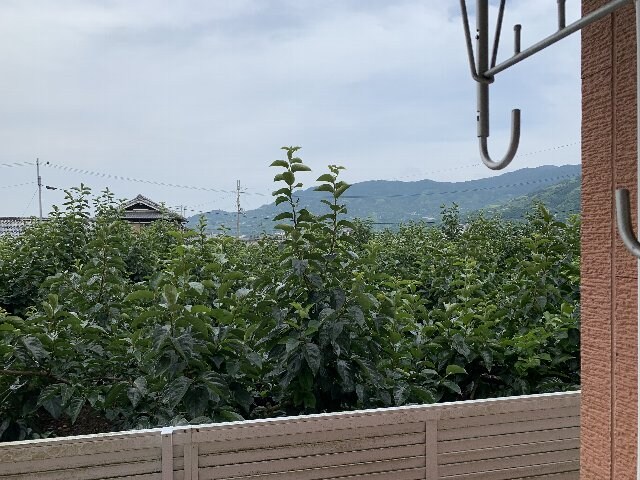 大谷駅 徒歩5分 1階の物件内観写真