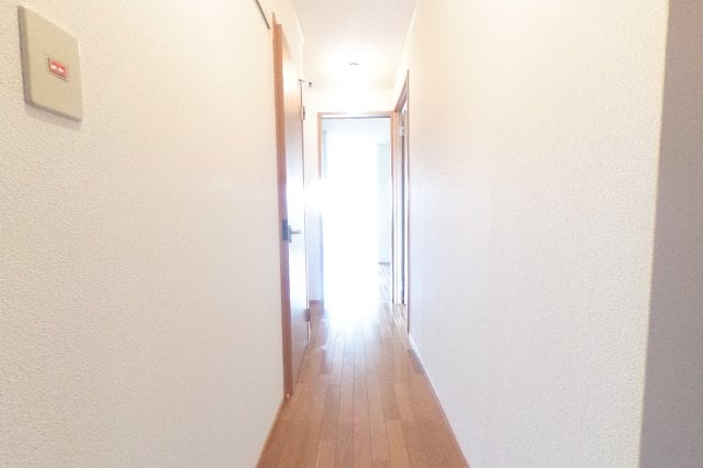 チェリーの物件内観写真