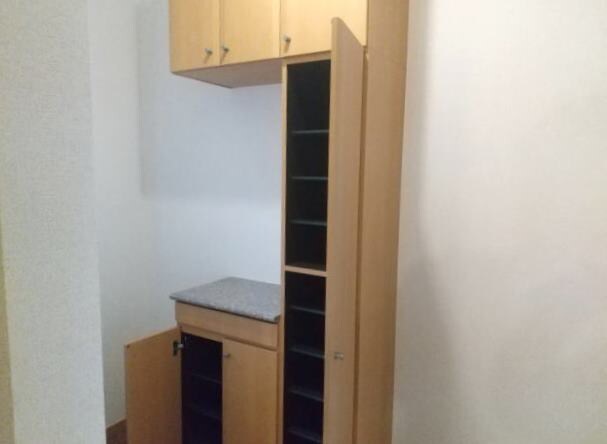 妙寺駅 徒歩7分 1階の物件内観写真