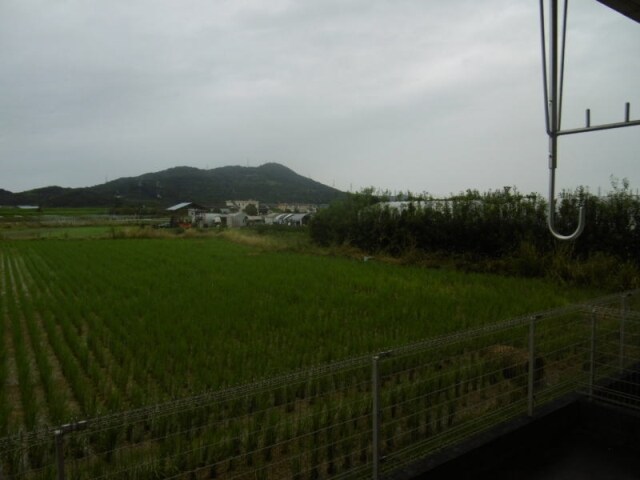 下井阪駅 徒歩19分 1階の物件内観写真