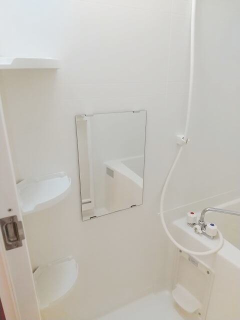 和歌山市駅 徒歩20分 1階の物件内観写真