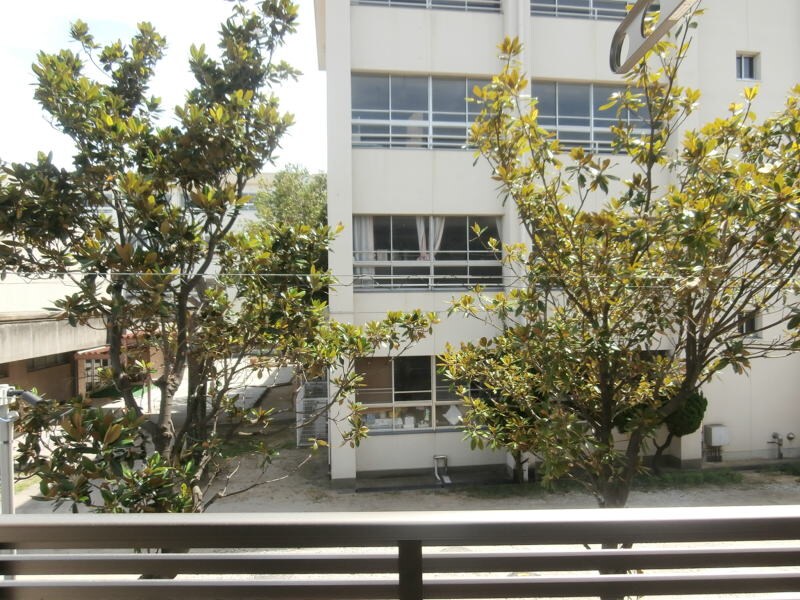 リンデンバウムⅡの物件内観写真