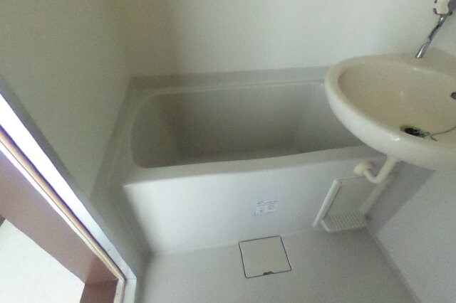 ヒルパレス四季壱号館の物件内観写真