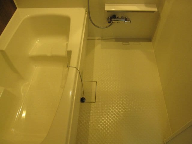 ピオニール紀の川Ⅱの物件内観写真