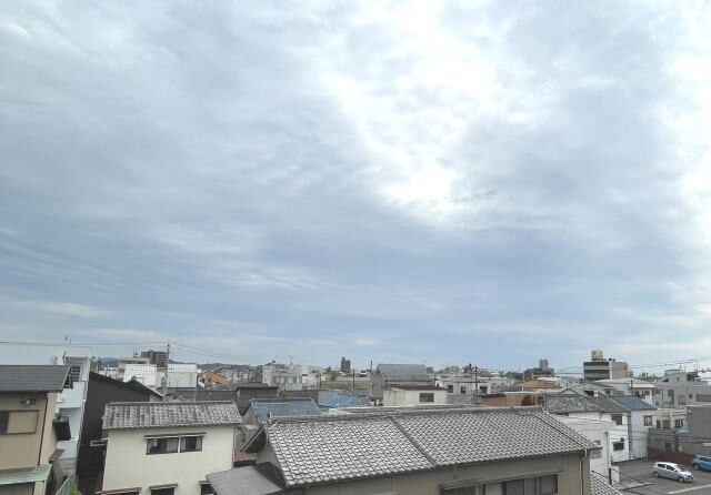 和歌山市駅 徒歩15分 3階の物件内観写真