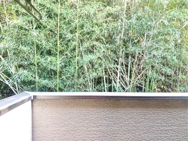 橋本駅 徒歩15分 2階の物件内観写真