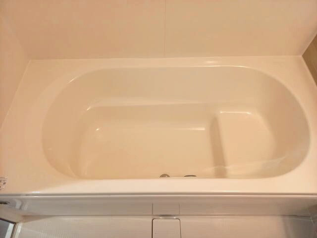 和歌山市駅 徒歩12分 1階の物件内観写真