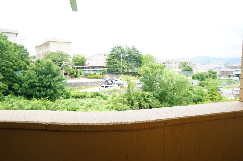 紀伊駅 徒歩6分 3階の物件内観写真