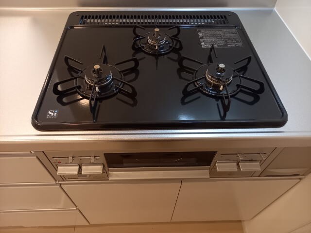 六十谷駅 徒歩20分 1階の物件内観写真