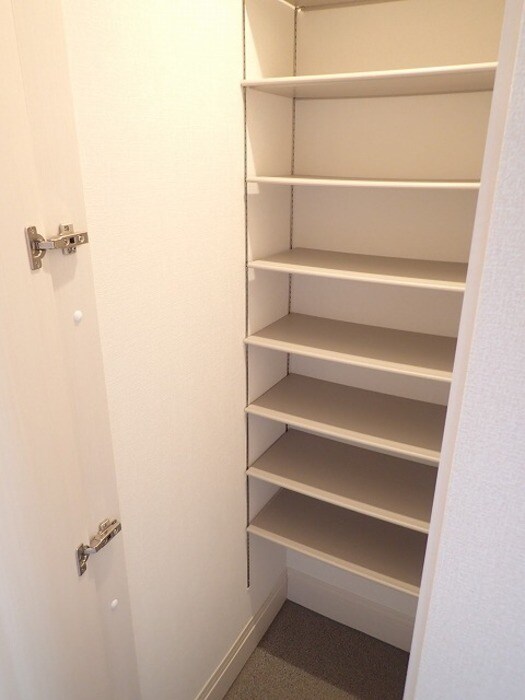 田井ノ瀬駅 徒歩11分 1階の物件内観写真