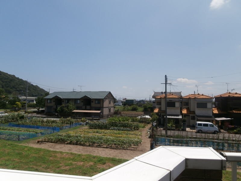 二里ケ浜駅 徒歩10分 2階の物件内観写真