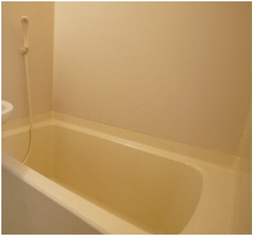 シャルマンフジ中之島壱番館の物件内観写真