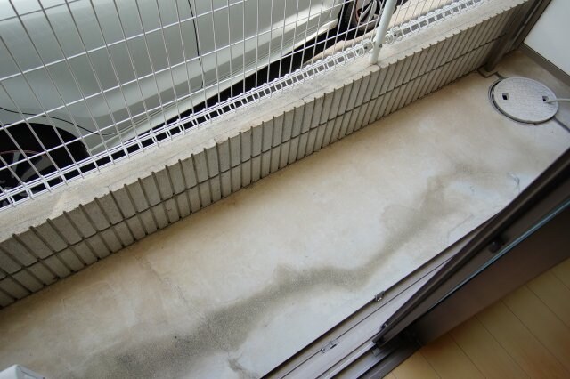 紀伊中ノ島駅 徒歩12分 1階の物件内観写真