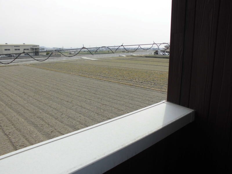 紀伊駅 徒歩21分 2階の物件内観写真