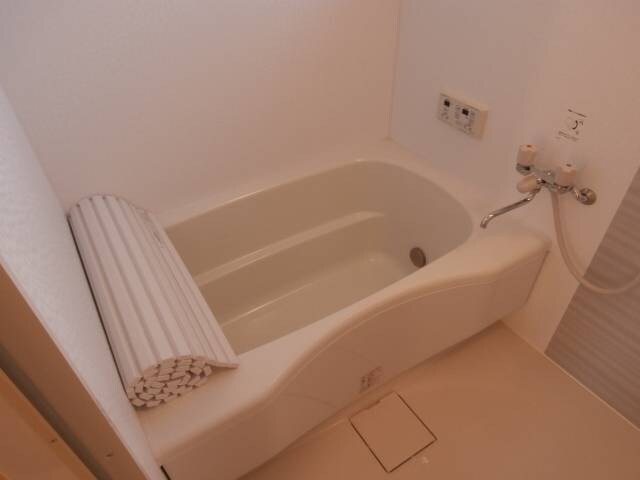 和歌山駅 徒歩19分 1階の物件内観写真