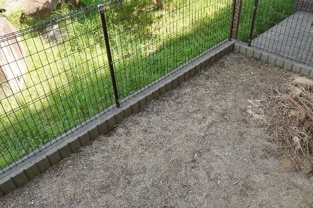 紀三井寺駅 徒歩22分 1階の物件内観写真