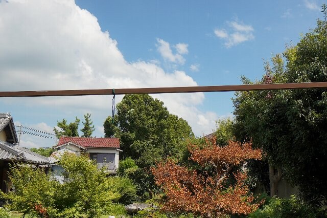 紀三井寺駅 徒歩22分 1階の物件内観写真