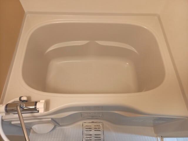 和歌山市駅 徒歩4分 3階の物件内観写真