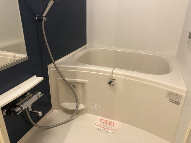 紀ノ川駅 徒歩13分 1階の物件内観写真