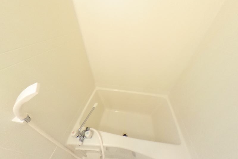 紀三井寺駅 徒歩15分 1階の物件内観写真