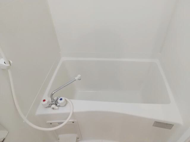 和歌山市駅 徒歩20分 1階の物件内観写真