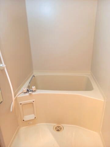 和歌山駅 徒歩11分 1階の物件内観写真