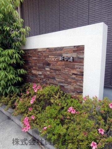 和歌山駅 徒歩15分 3階の物件外観写真