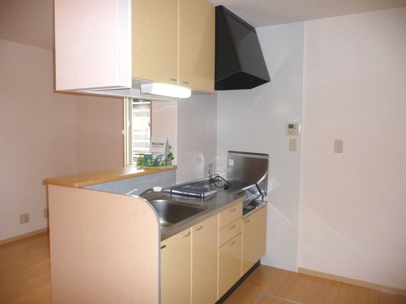 紀ノ川駅 徒歩9分 1階の物件内観写真