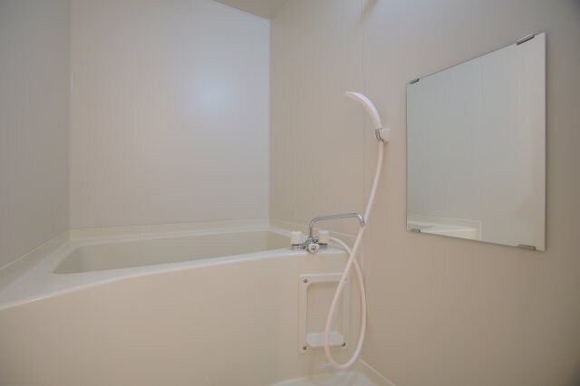 和歌山駅 徒歩11分 1階の物件内観写真