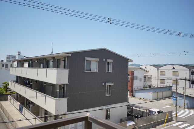 紀伊中ノ島駅 徒歩6分 3階の物件内観写真