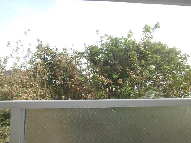 宮前駅 徒歩13分 2階の物件内観写真