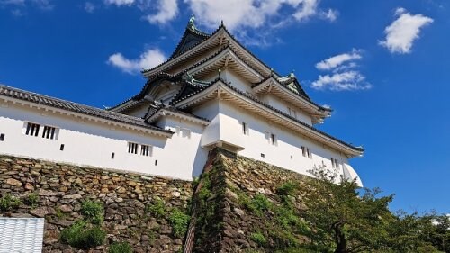 和歌山市駅 徒歩16分 1階の物件内観写真