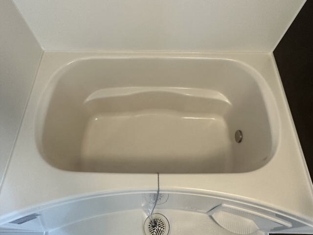 フォルトゥーナⅥの物件内観写真