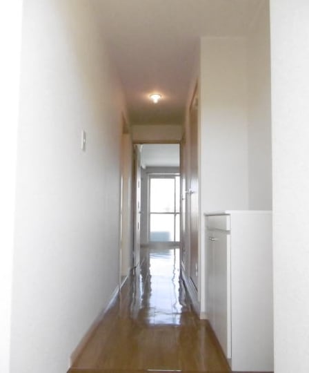 道成寺駅 徒歩12分 2階の物件内観写真