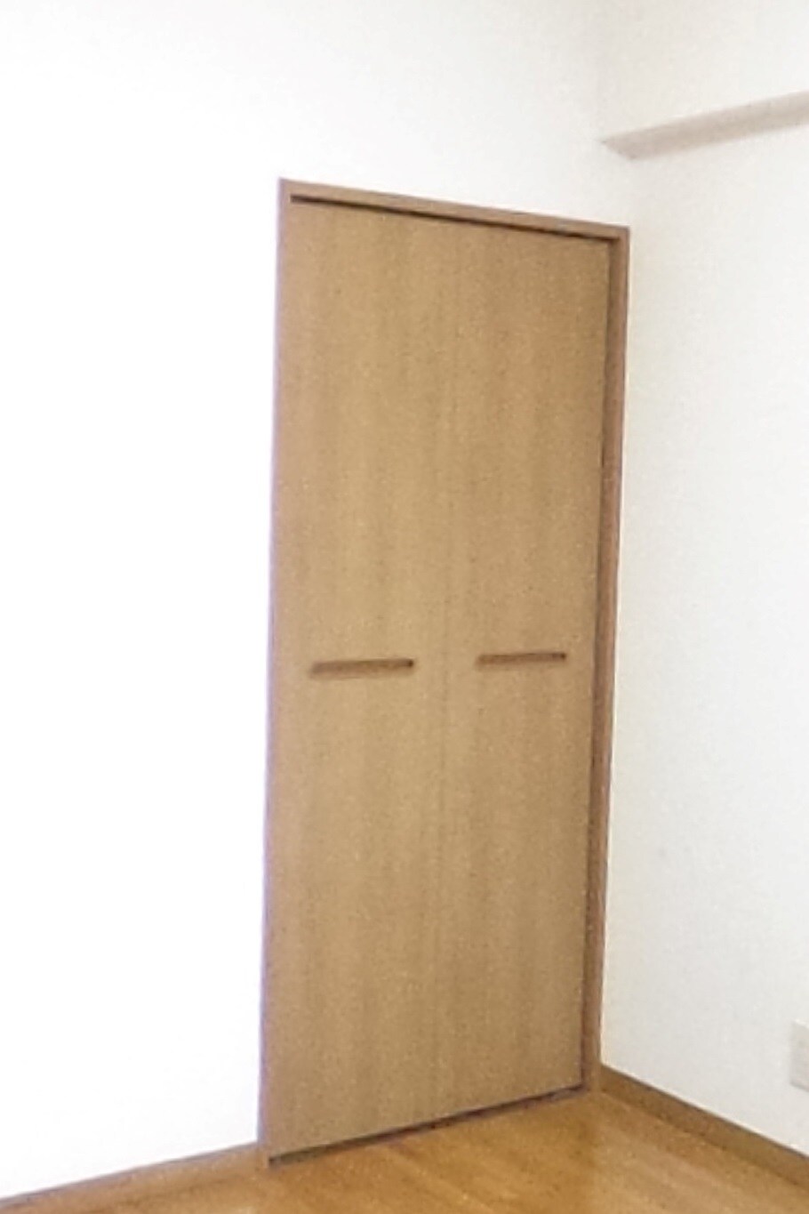 メゾン・プラヴァーⅡの物件内観写真