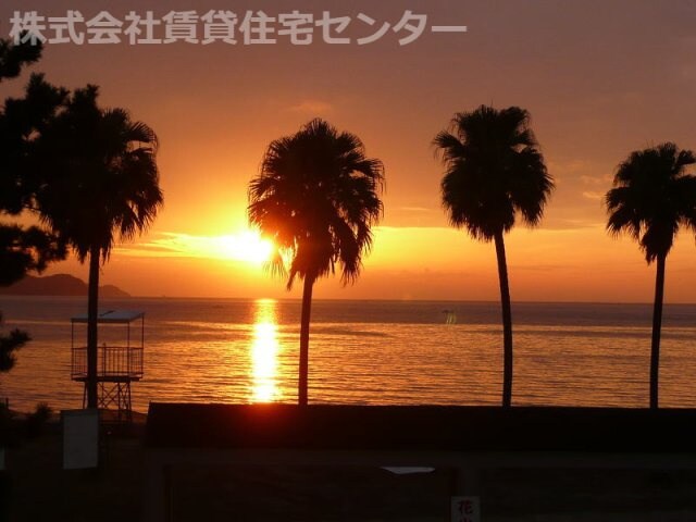 紀三井寺駅 バス7分  浜の宮下車：停歩10分 4階の物件外観写真