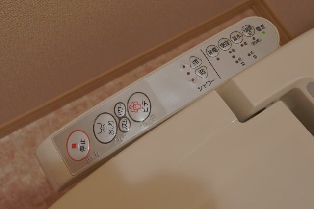 紀三井寺駅 徒歩25分 1階の物件内観写真