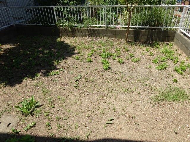 箕島駅 徒歩10分 1階の物件内観写真