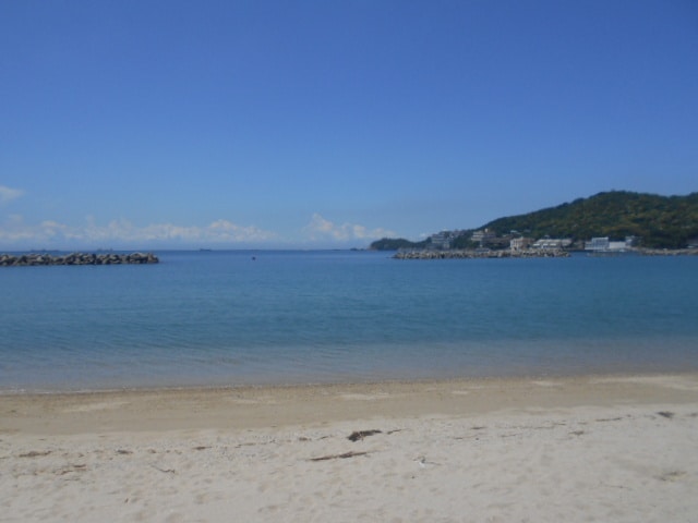 和歌山市駅 バス25分  和歌浦東下車：停歩7分 1階の物件内観写真