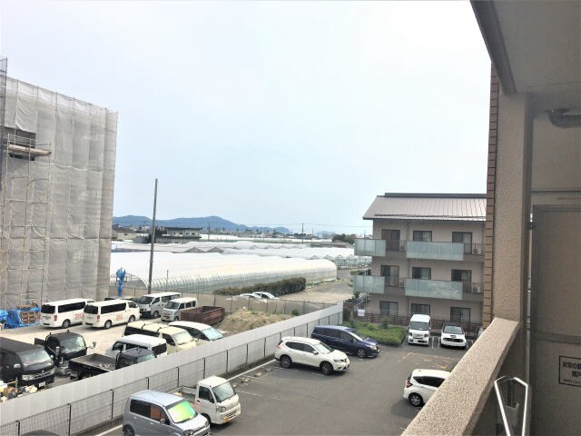 紀三井寺駅 徒歩15分 3階の物件内観写真