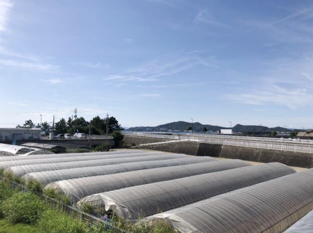 一戸建16525の物件内観写真