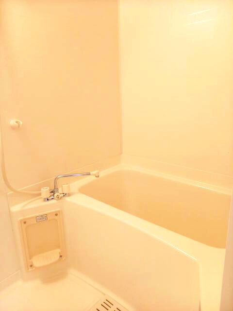 カサデプラシードⅠの物件内観写真