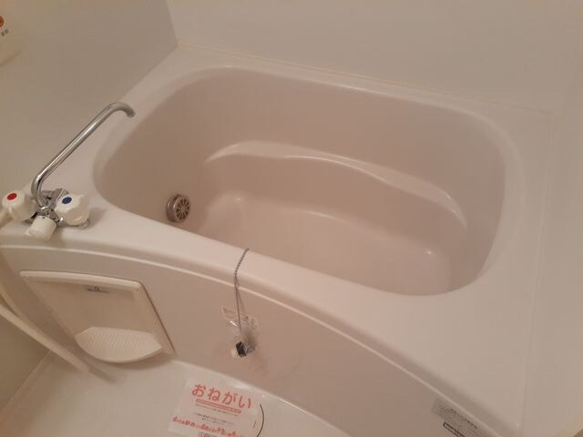 カサデプラシードⅠの物件内観写真