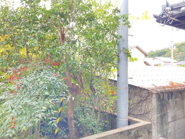 D-room東高松の物件内観写真