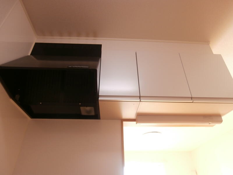 道成寺駅 徒歩8分 1階の物件内観写真