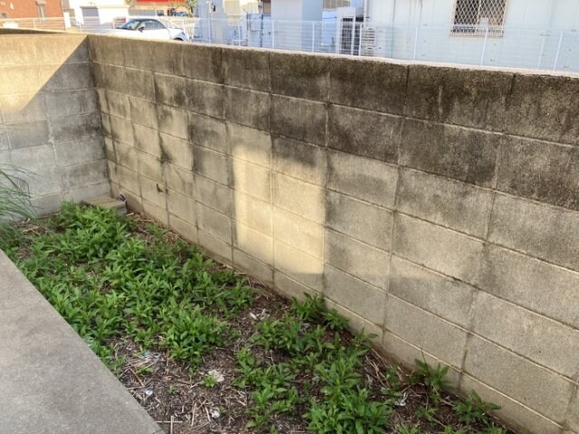 紀ノ川駅 徒歩9分 1階の物件内観写真