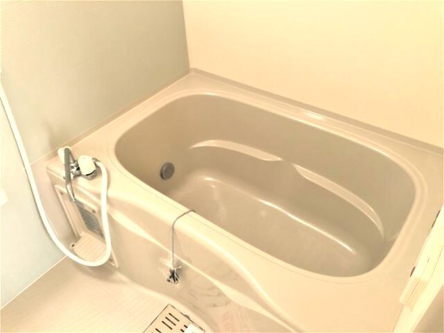 メゾン　コリーヌⅢの物件内観写真