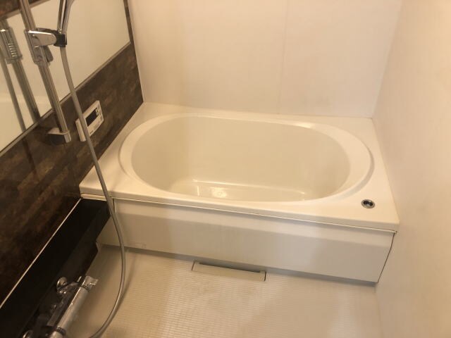 シャーメゾンＷＩＬＬの物件内観写真