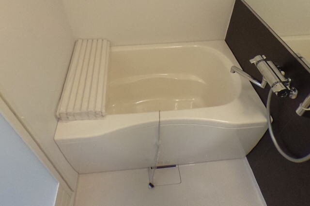 エレナ和歌浦の物件内観写真